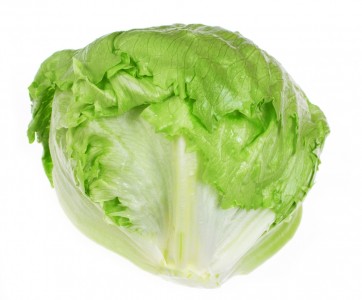 Vegetables - Cos Romain Lettuce