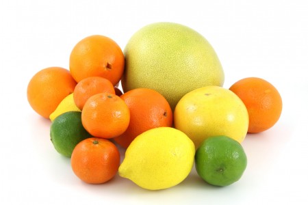 Fruits - Oranges Segmented