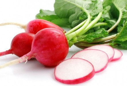 Radishes