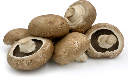 Portabelini Mushrooms