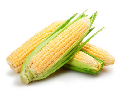 Sweet Corn