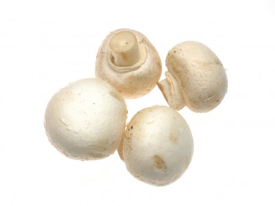 White Mushrooms Opens