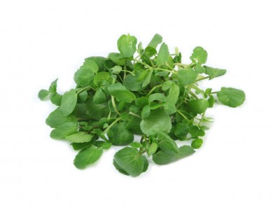 Water Cress & Baby Spinac &rocket Mix