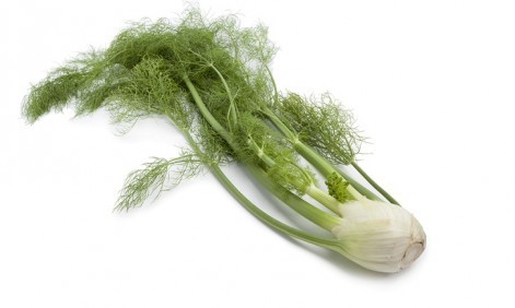 Fresh Herbs - Fennel