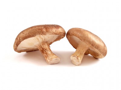 Vegetables - Oyster Mushrooms