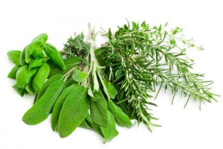 Fresh Herbs - Oragenum