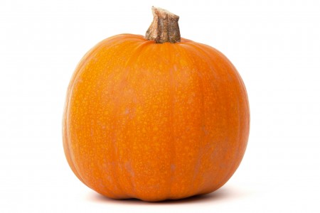 Pumpkin Kg